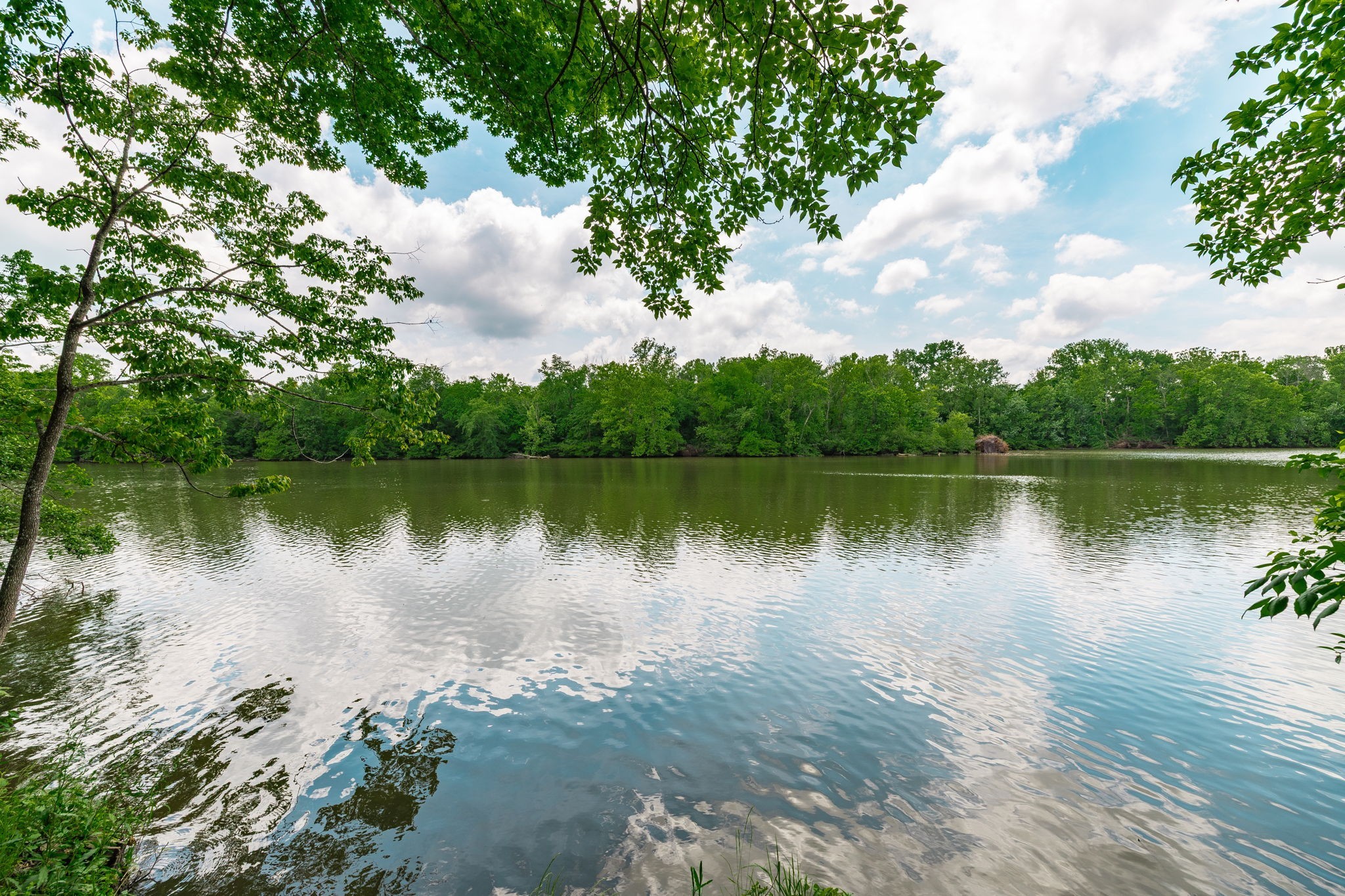 324 Lakeview Road Gallatin, TN 37066 - Photo 16 of 92 a lake view with a outdoor space