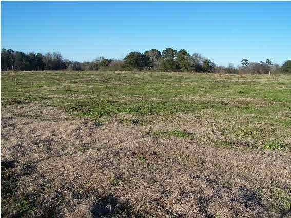 0 Pine Grove Road Magee, MS 39111 - Photo 1 of 6 Photo 1
