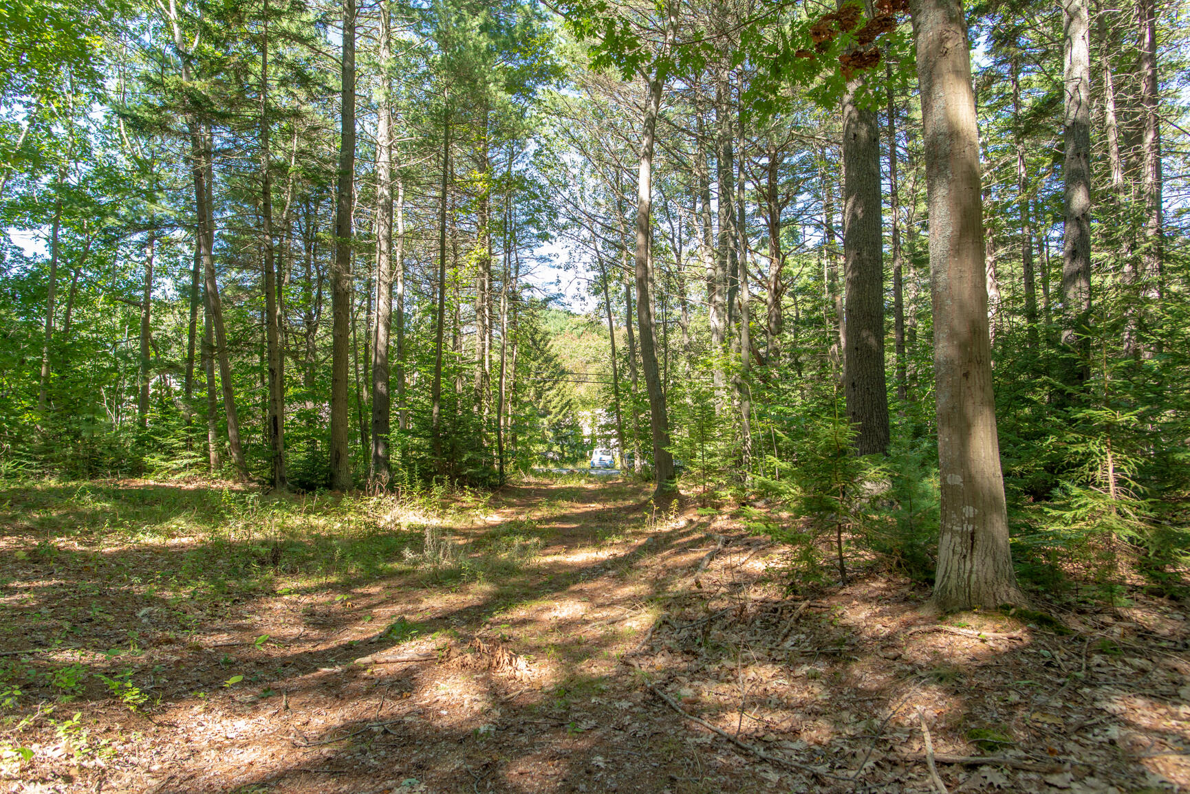 Lot 26 B North Road Chebeague Island, ME 04017 - Photo 10 of 11 untitled-10