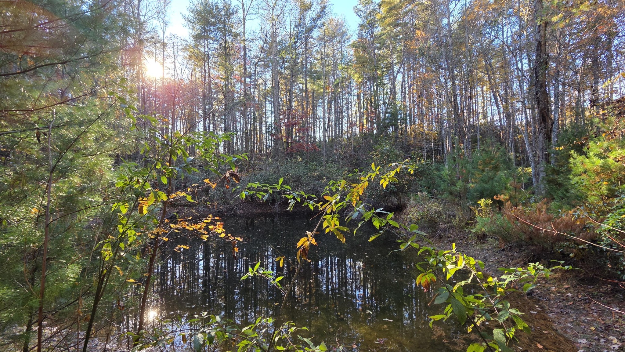 0 Tumbling Creek Road Copperhill, TN 37317 - Photo 16 of 62
