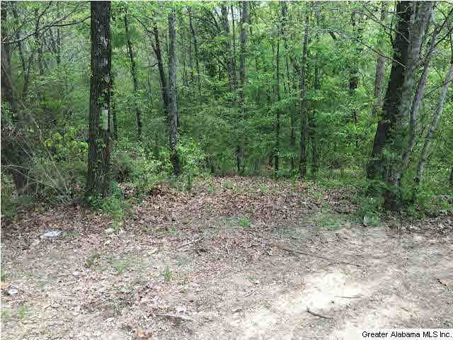 1346 Glass Place Morris, AL 35116 - Photo 17 of 18