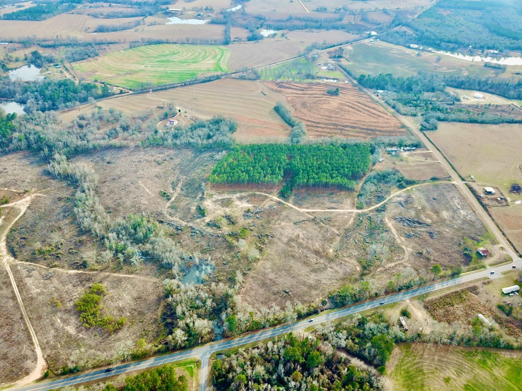 20-acres Hudson Road Columbia, AL 36319 - Photo 20 of 40
