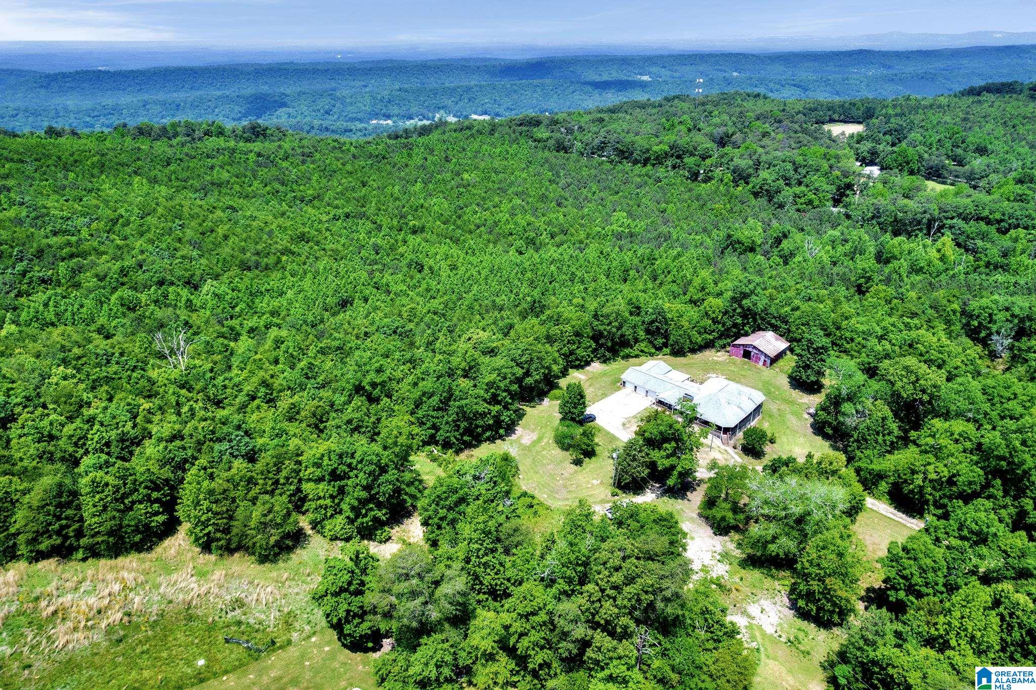 140 Layfield Drive Remlap, AL 35133 - Photo 40 of 44