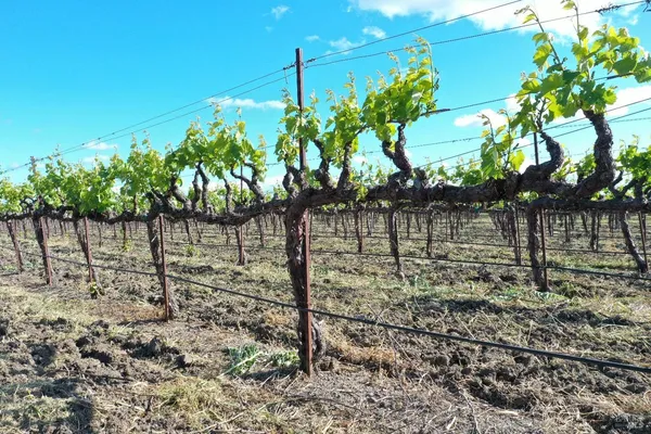 an aerial view of a houses with a yard