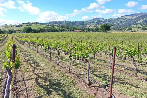 a view of a lake with a city