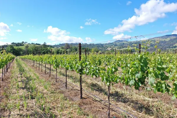 a view of an ocean from a building
