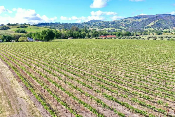 a view of an outdoor space with a lake view