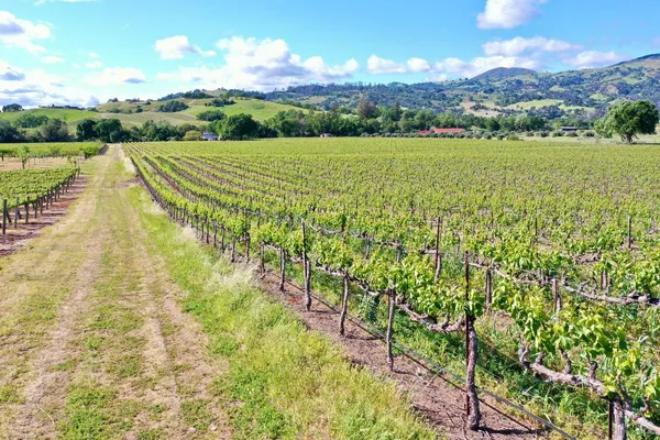 a view of an outdoor space and a yard