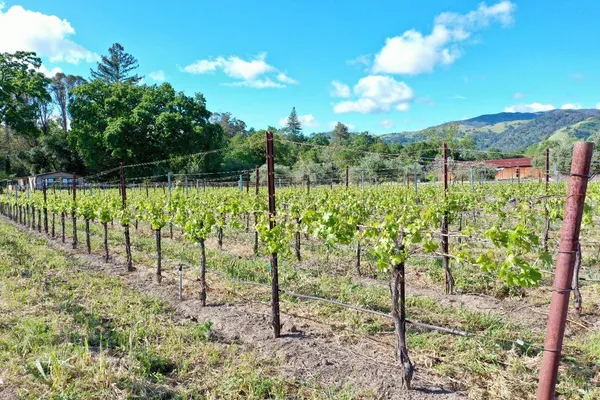 a view of a lake in between of the house