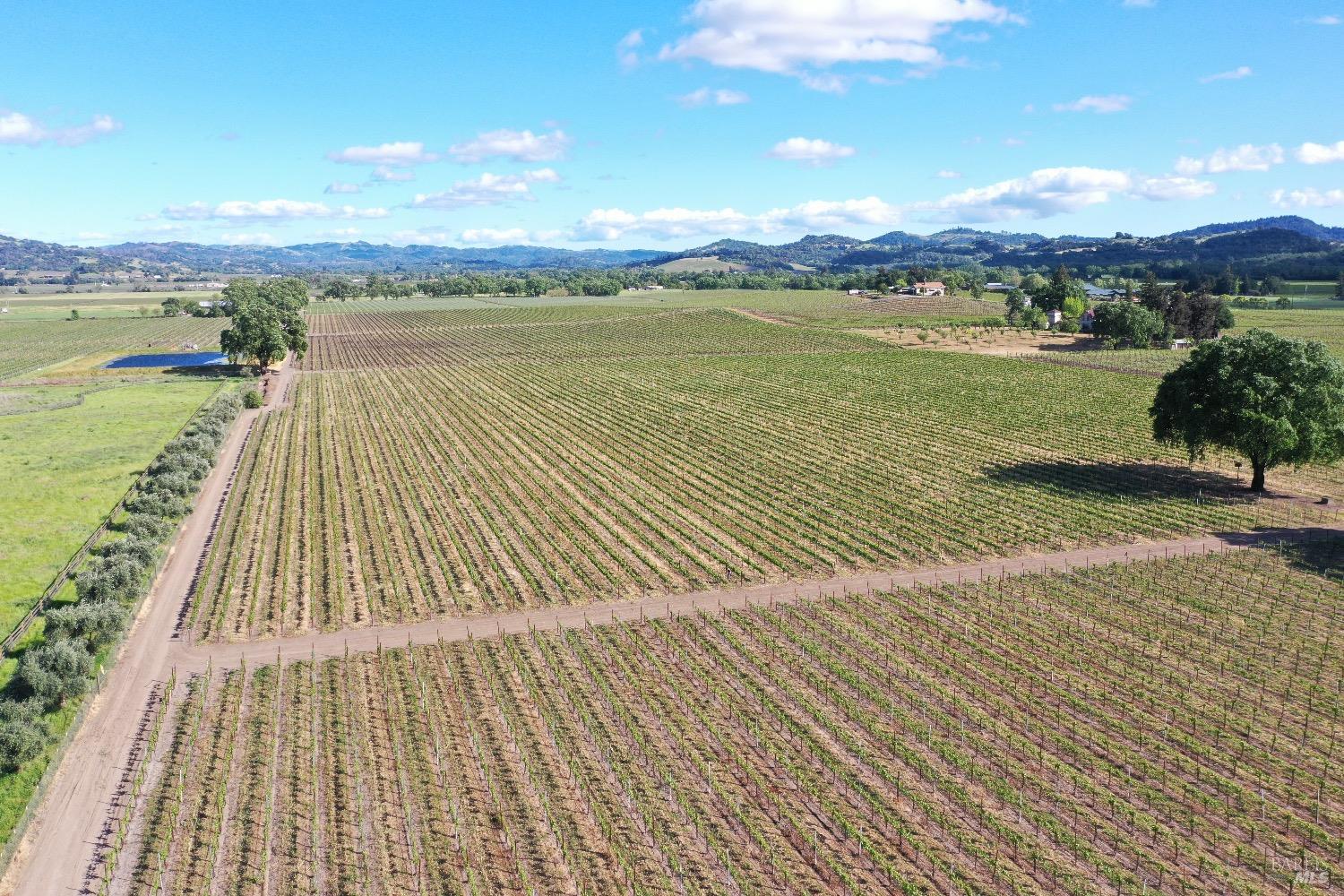 1695 Geysers Road Geyserville, CA 95441 - Photo 4 of 23