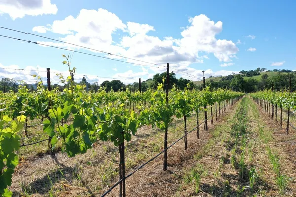 a view of an outdoor space and a yard