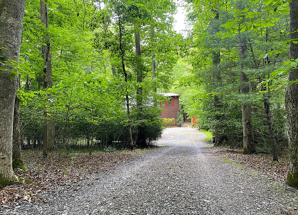 380 Evans Hollow Road Murphy, NC 28906 - Photo 16 of 55