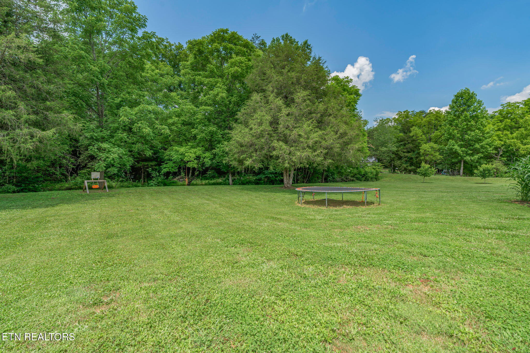 286 JD Farm Road Tellico Plains, TN 37385 - Photo 41 of 58 41-web-or-mls-286 JD Farm Road-41