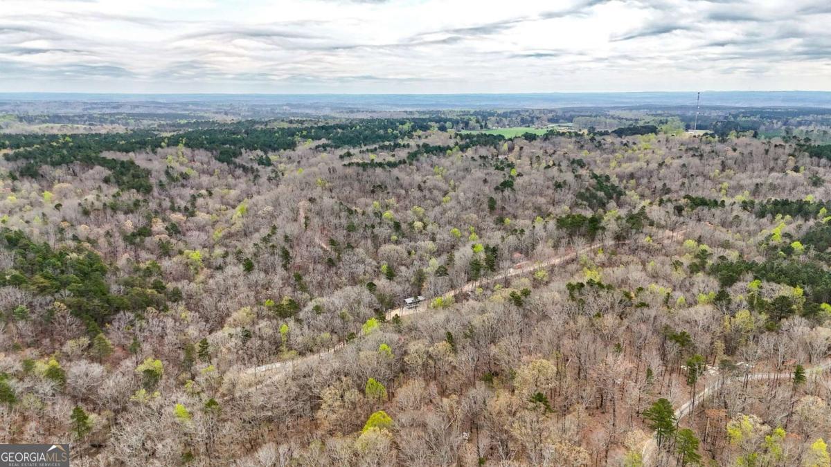 0 Felton Rockmart Road Buchanan, GA 30113 - Photo 38 of 47