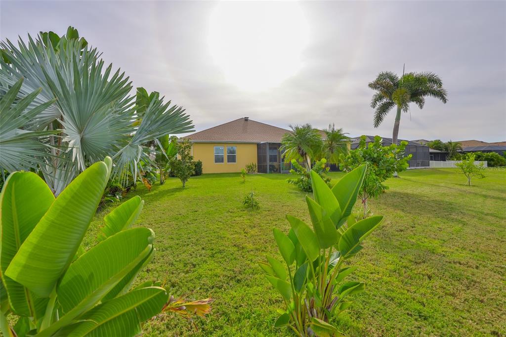 1516 Yale Castle Court Ruskin, FL 33570 - Photo 42 of 52 a view of a garden with a house