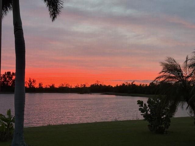 1516 Yale Castle Court Ruskin, FL 33570 - Photo 45 of 52 a view of a lake from a yard