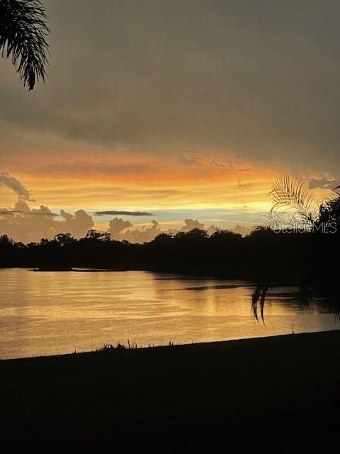 1516 Yale Castle Court Ruskin, FL 33570 - Photo 5 of 52 a view of lake with mountain