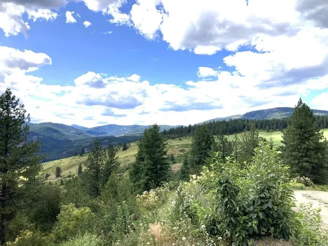 $80,000 | T T Buffy Lane, Inchelium, WA 99138