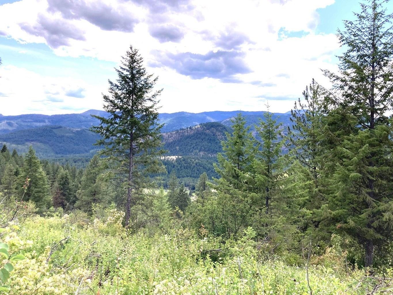 T T Buffy Lane Inchelium, WA 99138 - Photo 11 of 14