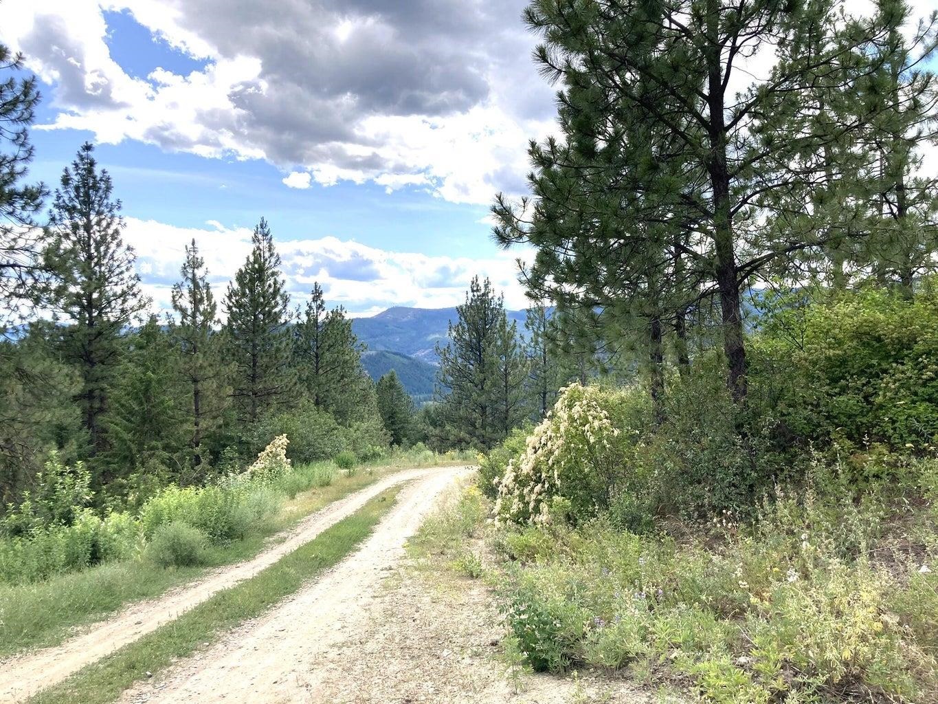 T T Buffy Lane Inchelium, WA 99138 - Photo 12 of 14