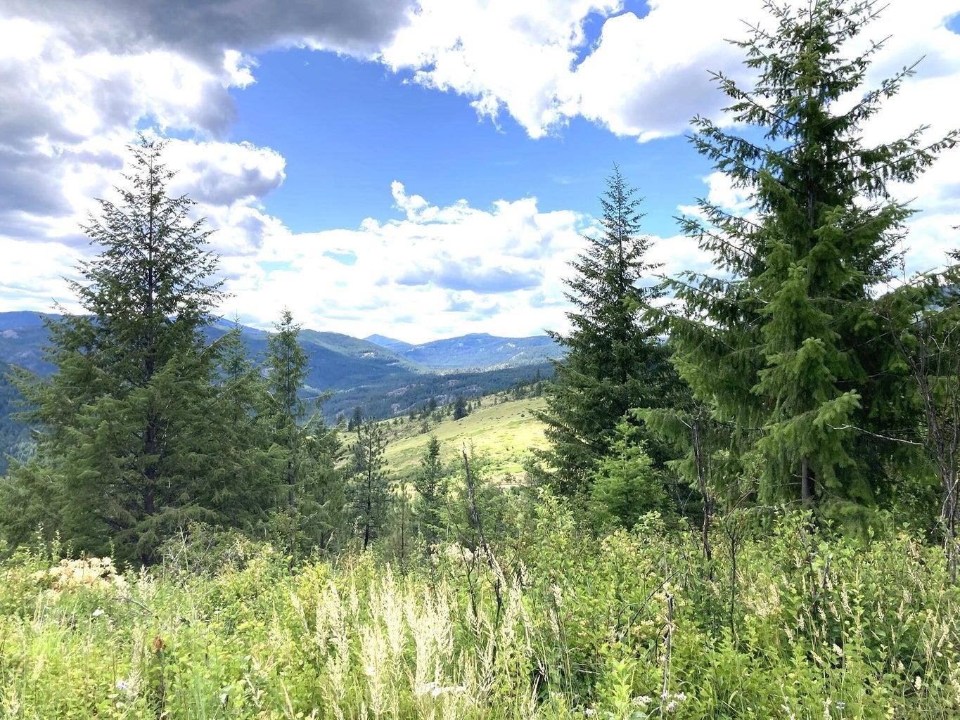 T T Buffy Lane Inchelium, WA 99138 - Photo 2 of 14