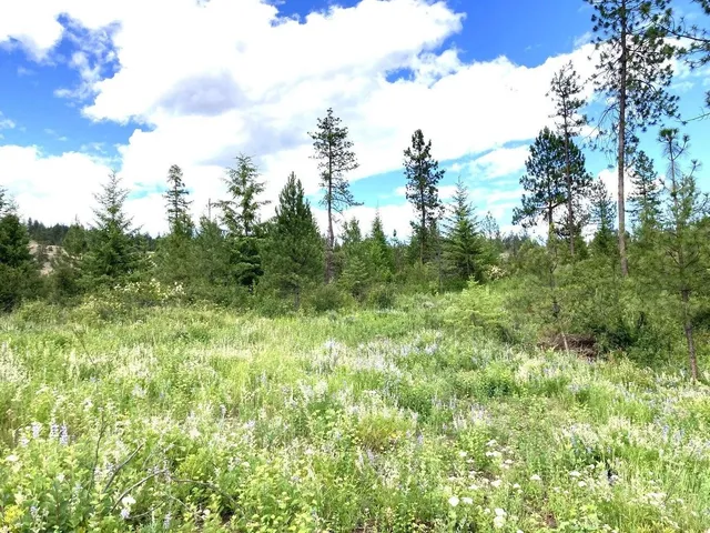 $80,000 | T T Buffy Lane, Inchelium, WA 99138