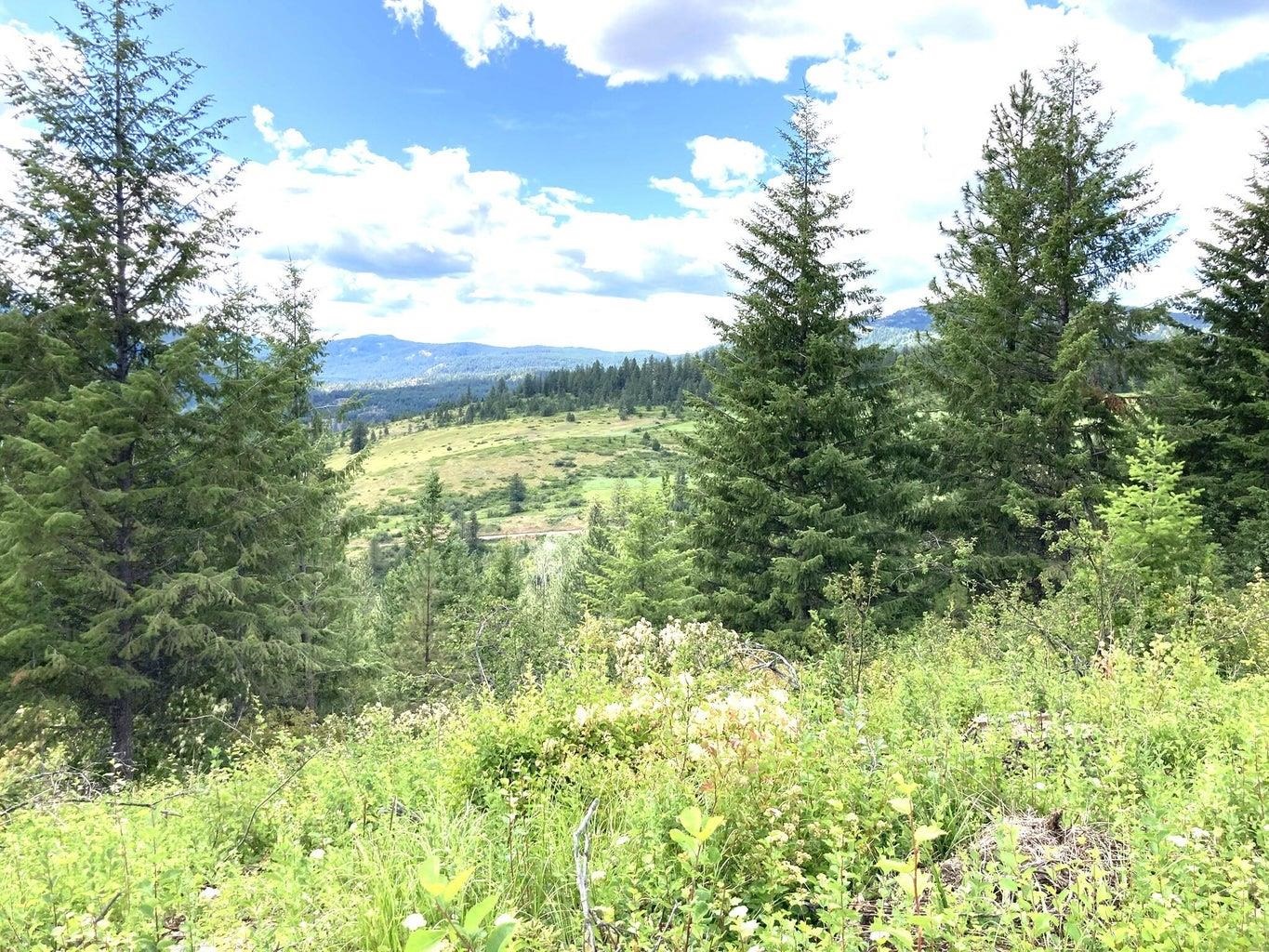 T T Buffy Lane Inchelium, WA 99138 - Photo 4 of 14