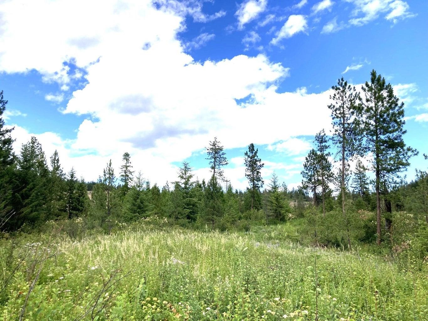 T T Buffy Lane Inchelium, WA 99138 - Photo 5 of 14