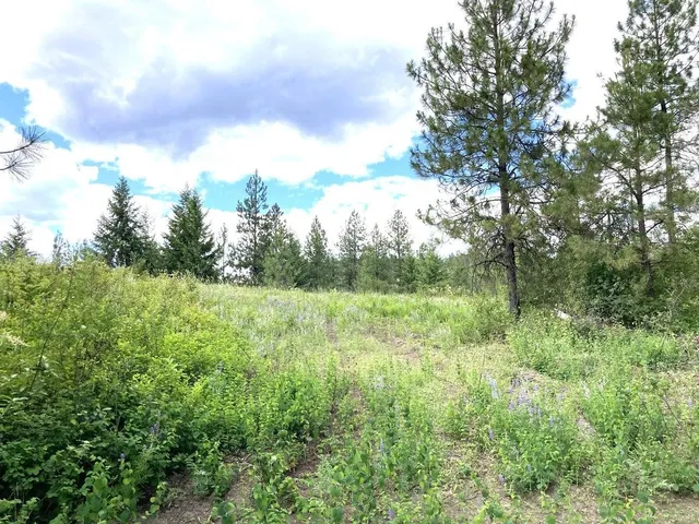 $80,000 | T T Buffy Lane, Inchelium, WA 99138