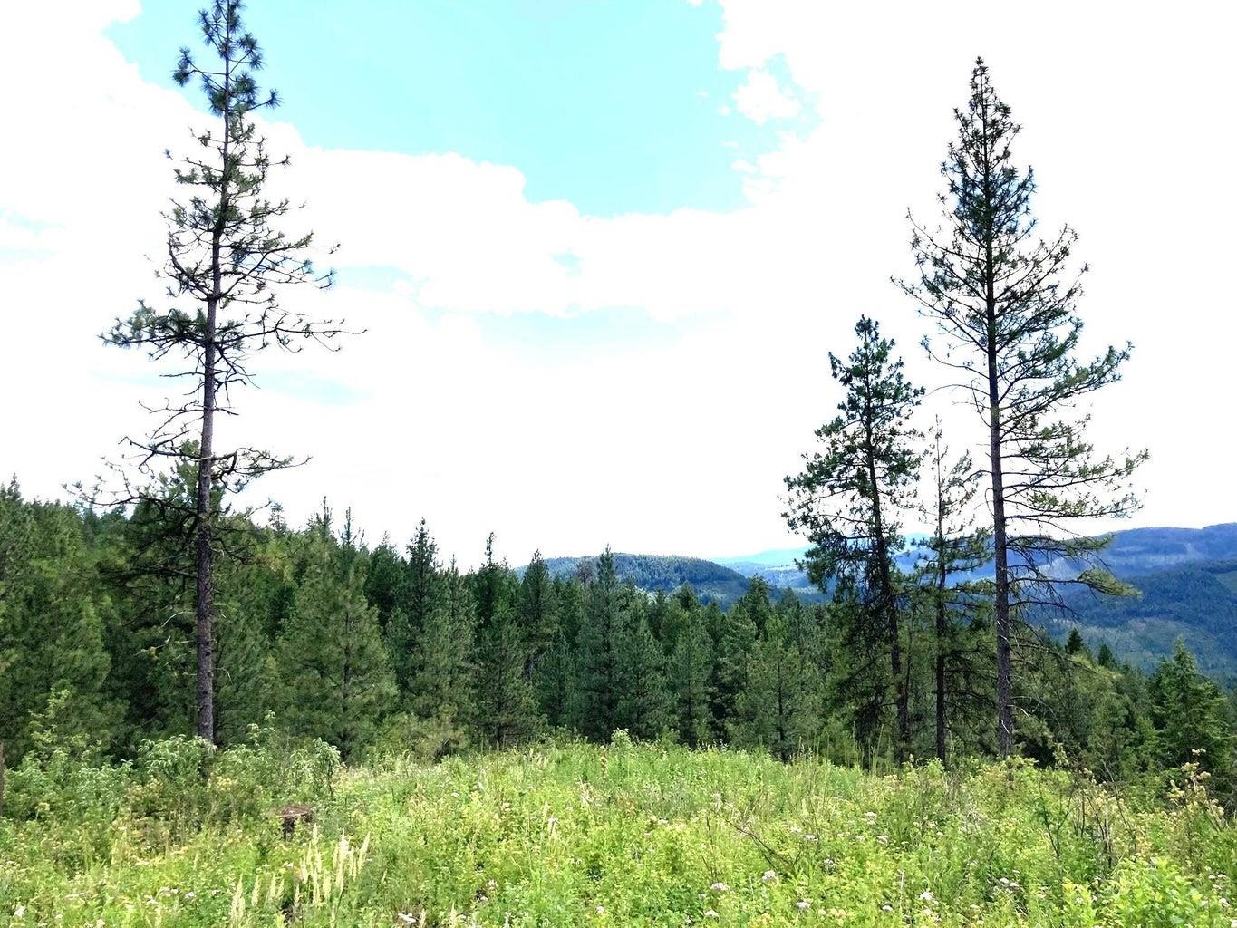 T T Buffy Lane Inchelium, WA 99138 - Photo 8 of 14