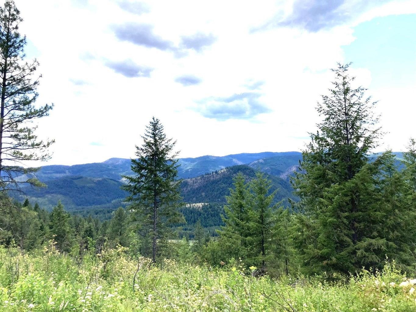 T T Buffy Lane Inchelium, WA 99138 - Photo 9 of 14