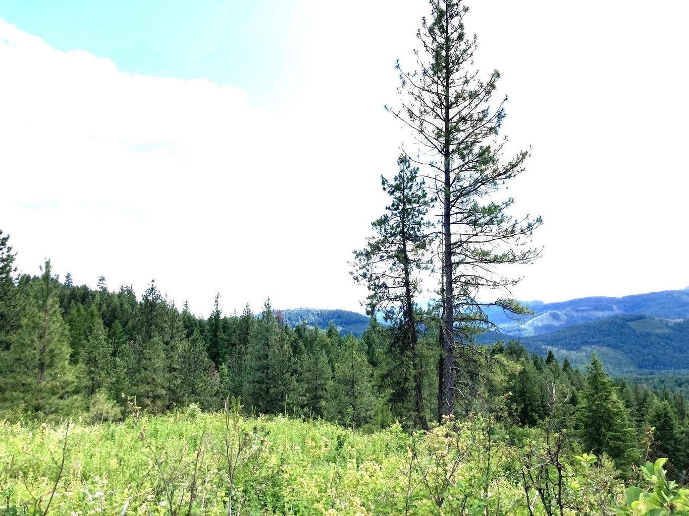 T T Buffy Lane Inchelium, WA 99138 - Photo 10 of 14