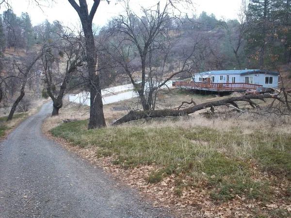 a view of a forest with a street and trees
