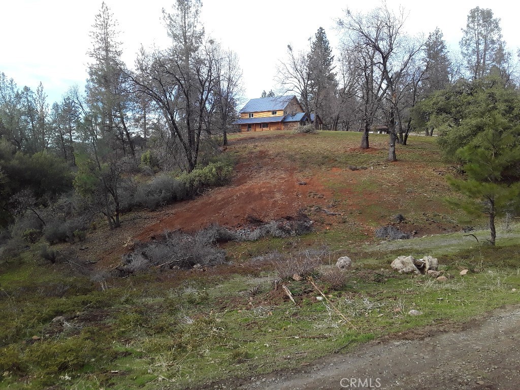 777 Morning Glory Road Mountain Ranch, CA 95246 - Photo 34 of 34 a view of dirt yard with a trees
