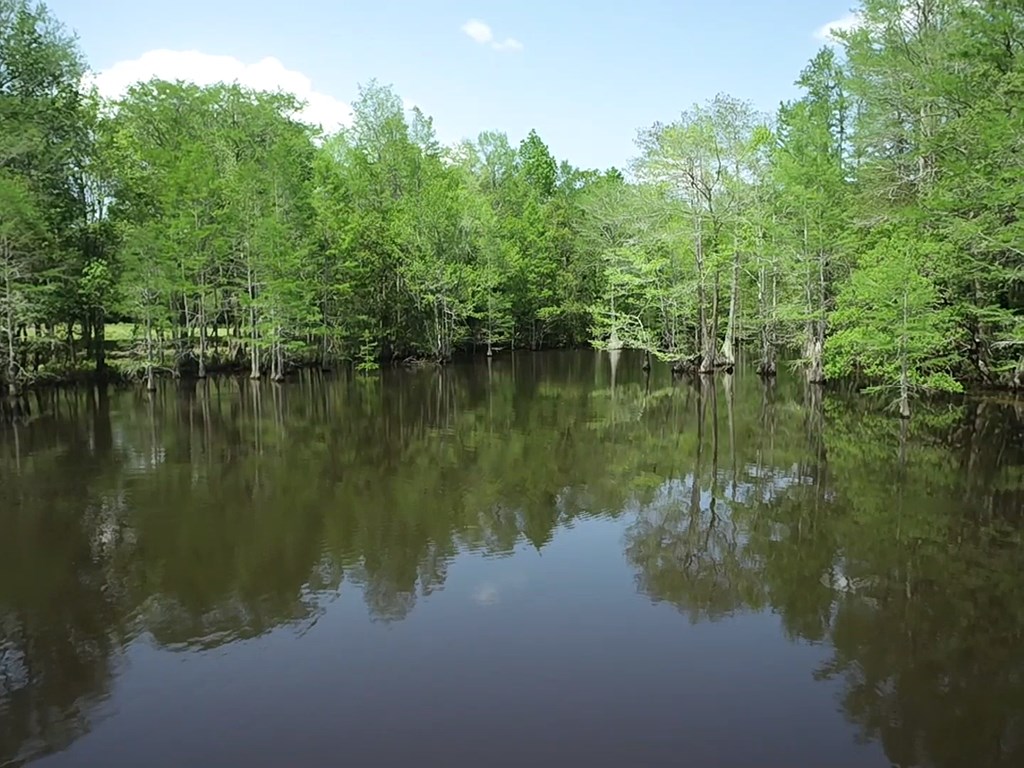 4.04 Cty Road Slocomb, AL 36375 - Photo 30 of 36