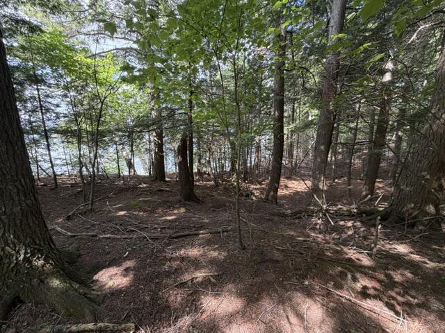 10 Black Point Road Beaver Cove, ME 04441 - Photo 9 of 16 IMG_0825