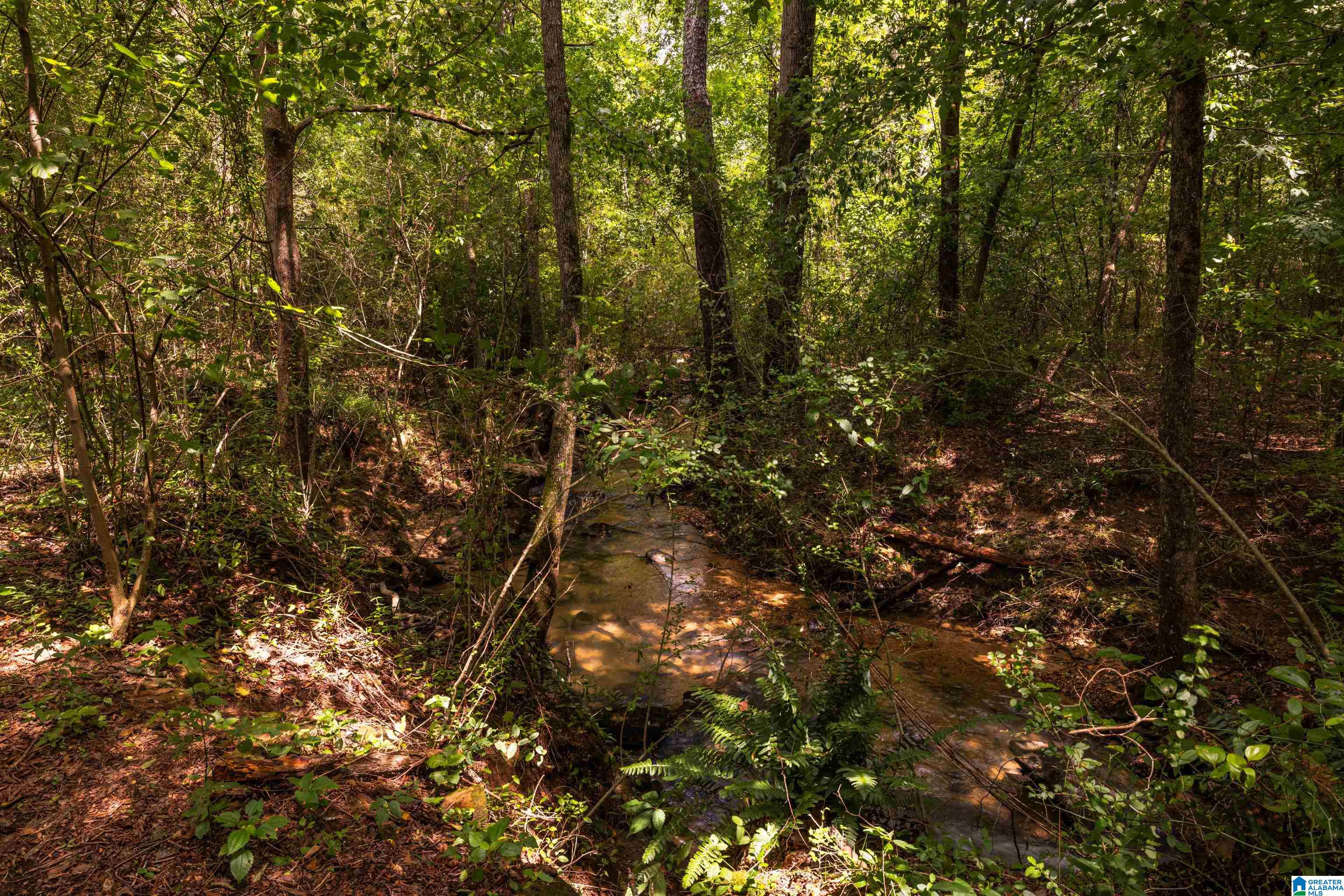 1218 Ebell Road Oneonta, AL 35121 - Photo 33 of 53