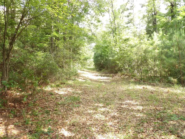 a view of beach and green space