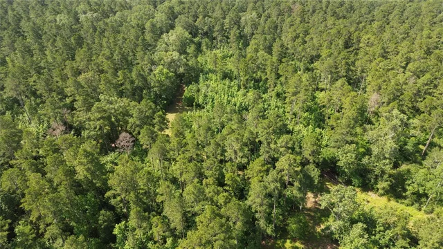 a view of a lush green field