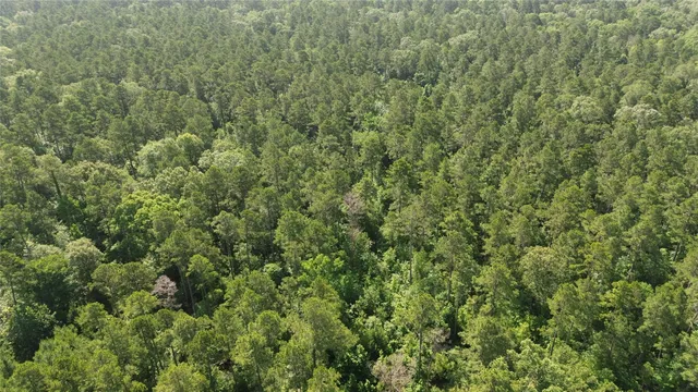 a view of a large yard with lots of green space
