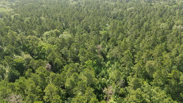 a view of a large yard with lots of green space
