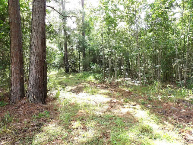 a view of outdoor space and trees