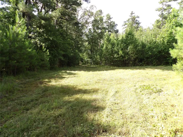 a view of a yard with a house