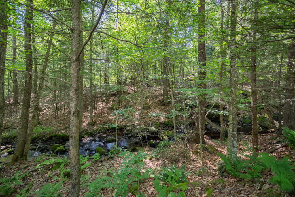72 Fayette Corner Road Kents Hill, ME 04349 - Photo 59 of 62 taylor-kaminsky-photo-40