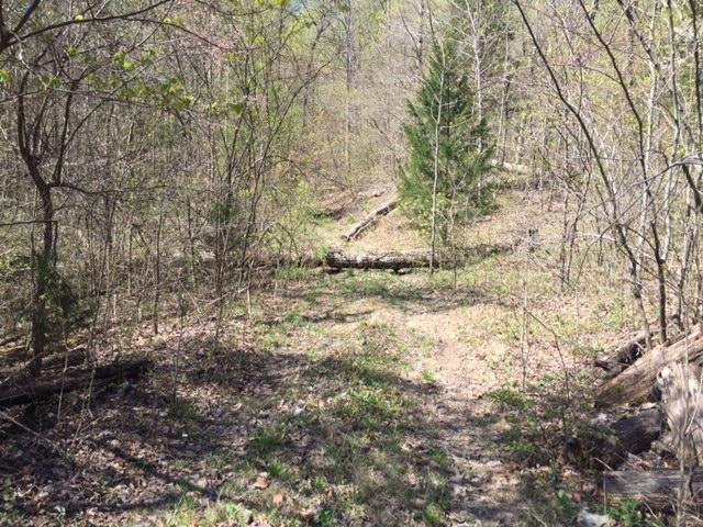 18 Stagecoach Road, Unit 18 Sewanee, TN 37375 - Photo 2 of 5 IMG_0801