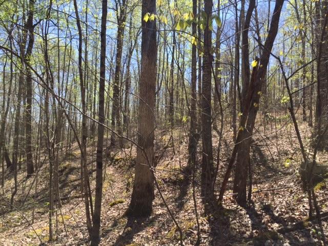 18 Stagecoach Road, Unit 18 Sewanee, TN 37375 - Photo 3 of 5 IMG_0805