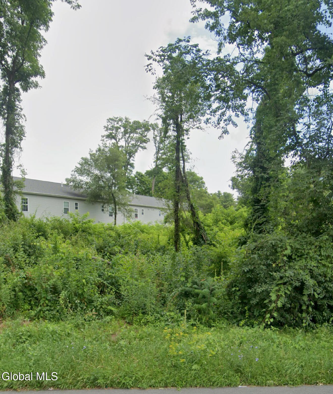 L1 Fort Hunter Road Schenectady, NY 12303 - Photo 2 of 4 IMG