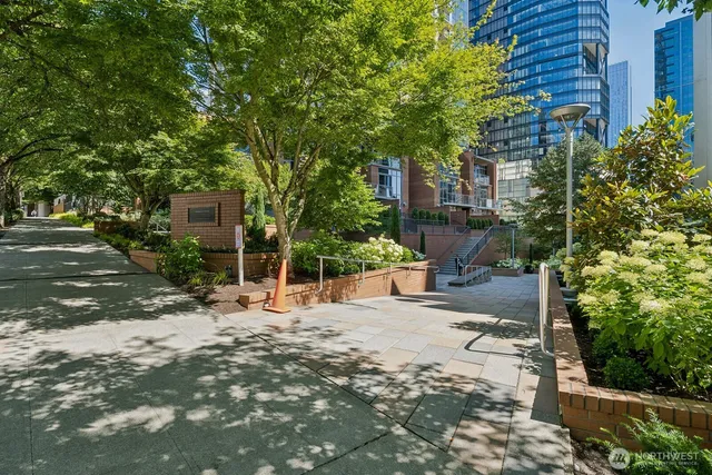 a view of a building with potted plants