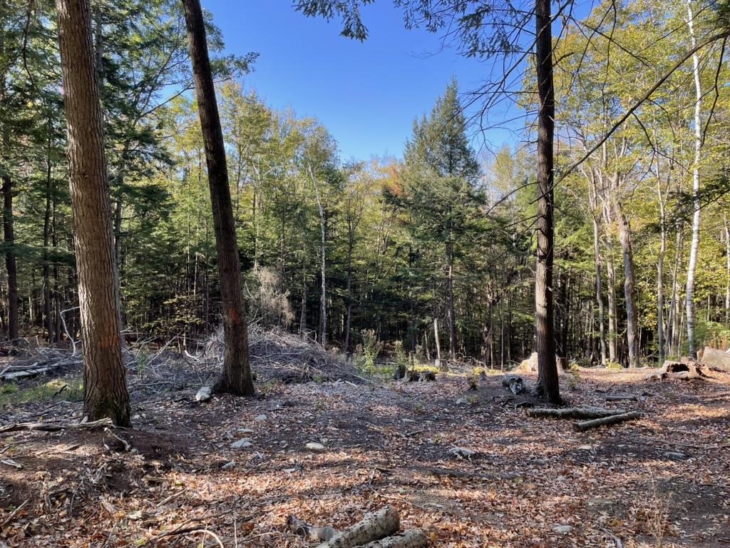 341 Perkins Hill Road, Unit 7 Alexandria, NH 03222 - Photo 2 of 8