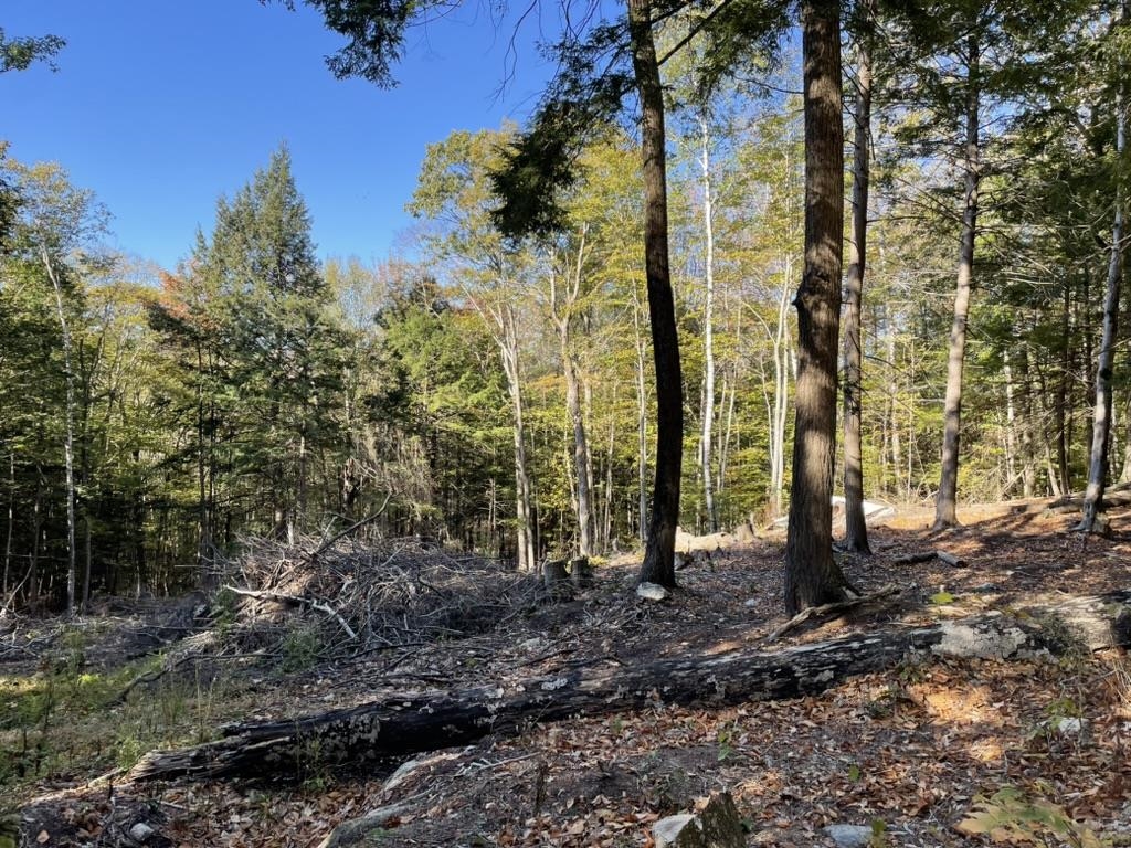 341 Perkins Hill Road, Unit 7 Alexandria, NH 03222 - Photo 3 of 8